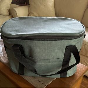 DSW Gray Insulated Bag